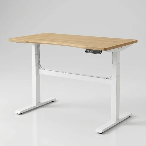 Fezibo Electric Standing Desk view 3