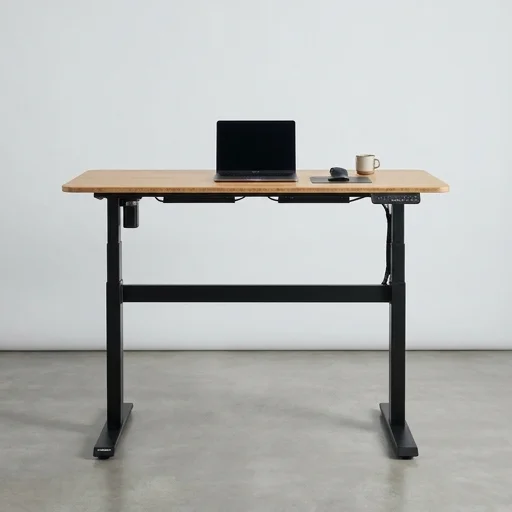 FlexiSpot GoDesk Standing Desk view 2